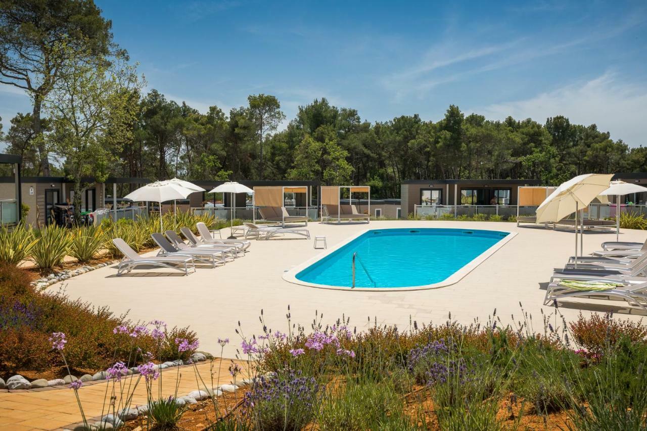 Mobile Homes Camping Santa Marina, Lanterna Tar-Vabriga Exteriör bild The swimming pool at the campsite