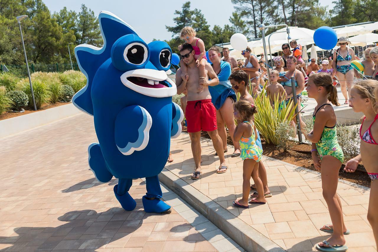 Mobile Homes Camping Santa Marina, Lanterna Tar-Vabriga Exteriör bild The mascot of the park, "Blue"